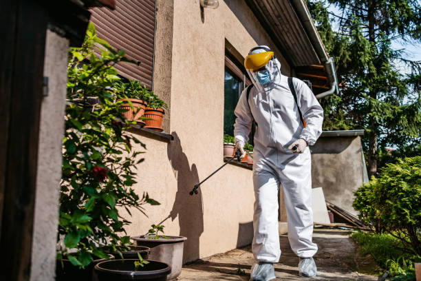 Best Best Pest Control Companies  in Mcalmont, AR