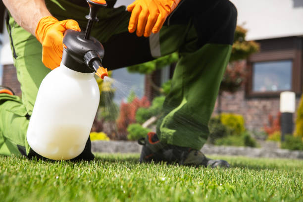 Best Mosquito Control Services  in Mcalmont, AR