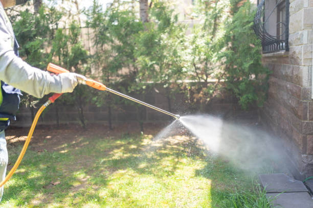 Best Pest Control Near Me  in Mcalmont, AR