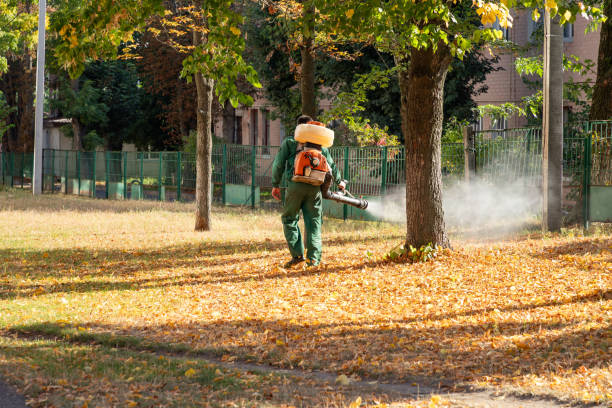 Best Wildlife Control Services  in Mcalmont, AR
