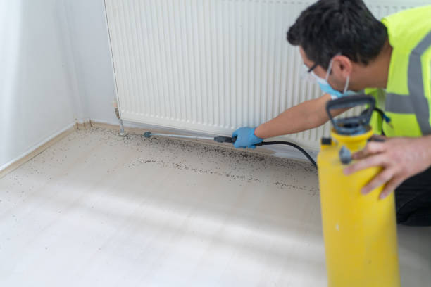 Professional Pest Control in Mcalmont, AR